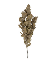 Load image into Gallery viewer, Autumn Leaves Branch

