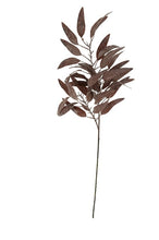 Load image into Gallery viewer, Dried Eucalyptus Stem, Purple
