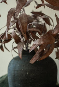 Dried Eucalyptus Stem, Purple
