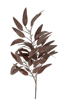 Load image into Gallery viewer, Dried Eucalyptus Stem, Purple
