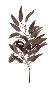 Dried Eucalyptus Stem, Purple