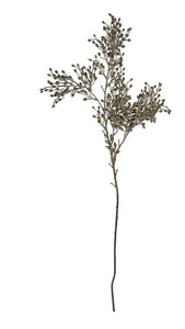 Dried Sedum Spray