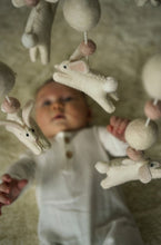 Load image into Gallery viewer, Bunny Hop Felt Mobile
