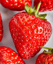 Load image into Gallery viewer, Sonata Strawberry Preserve
