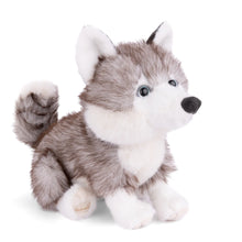 Load image into Gallery viewer, Bukowski Sweet Husky
