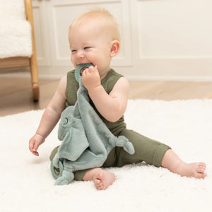 Bella Tunno Freddie the Frog Teether Buddy