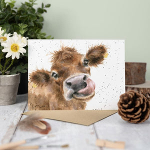 Moooooo Card