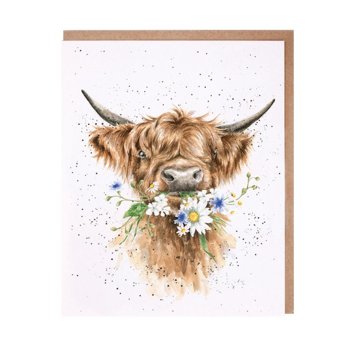 Daisy Coo Highland Cow Card