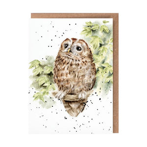 Treetops Owl Card