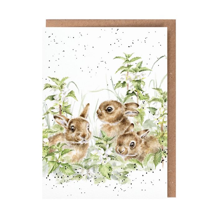 In the Undergrowth Card