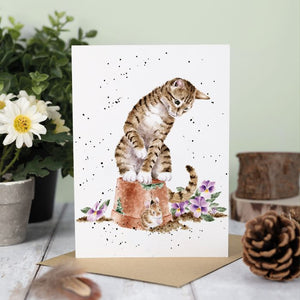 Hide + Squeak Card