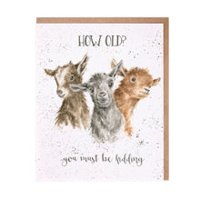 Load image into Gallery viewer, Just Kidding Birthday Card
