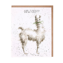 Load image into Gallery viewer, How Old??? Birthday Card
