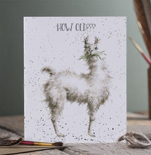 Load image into Gallery viewer, How Old??? Birthday Card
