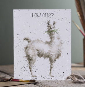 How Old??? Birthday Card