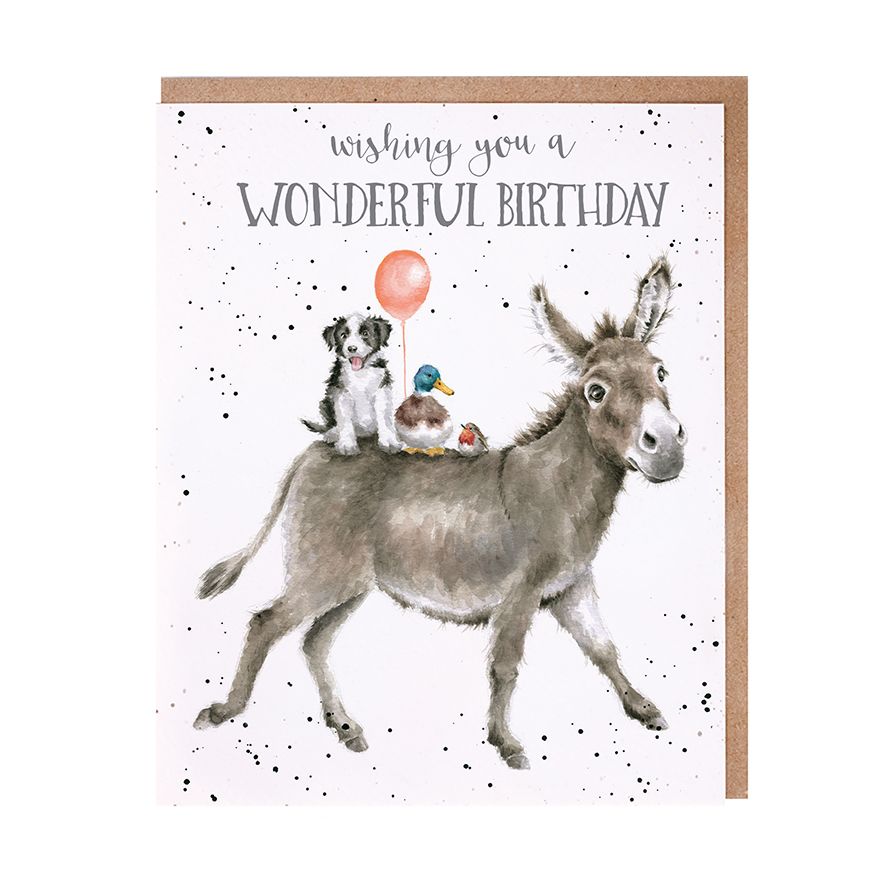 Birthday Donkey Ride