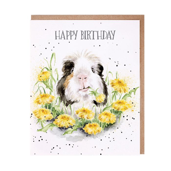 Dandy Day Birthday Card