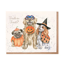 Load image into Gallery viewer, Trick Or Treat Card
