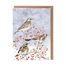 Load image into Gallery viewer, Winter Visitors  Christmas Card
