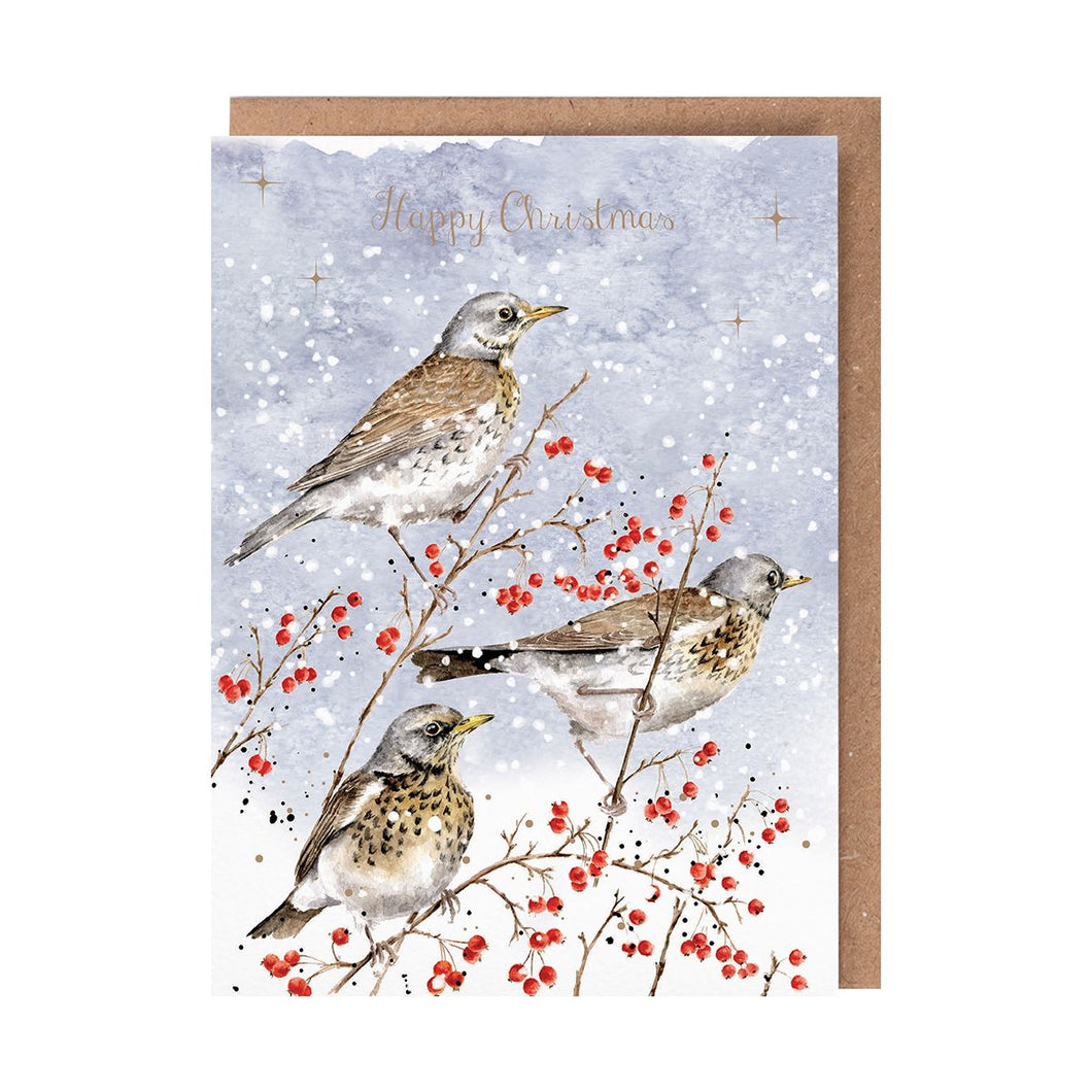 Winter Visitors  Christmas Card