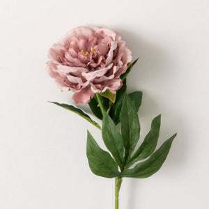 Pink Peony Stem