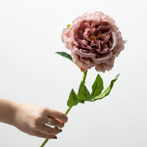 Pink Peony Stem