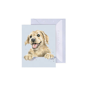 'Golden Boy' Labrador Enclosure Card