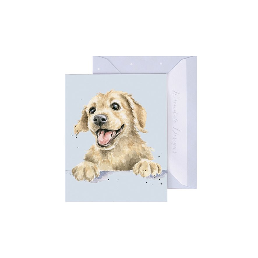 'Golden Boy' Labrador Enclosure Card