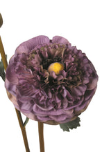 Load image into Gallery viewer, Purple Chrysanthemum
