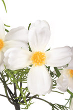 Load image into Gallery viewer, Chamomile Bunch

