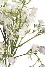 Load image into Gallery viewer, Mini Whites Bunch
