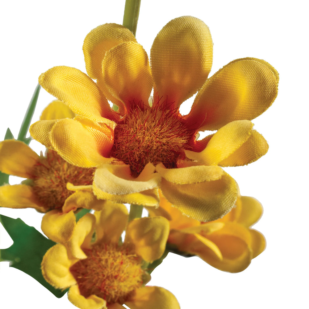Yellow Daisy Bundle