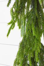 Load image into Gallery viewer, 72&quot; Fresh Touch Norfolk Pine Garland
