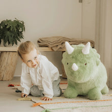 Load image into Gallery viewer, Soft Bouncy Dino
