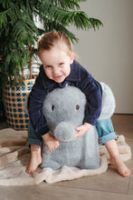 Load image into Gallery viewer, Soft Bouncy Elephant
