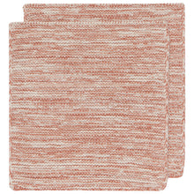Load image into Gallery viewer, Clay Knit Dishcloth, Set of 2
