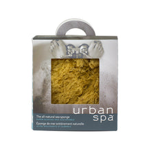 Load image into Gallery viewer, Sea Sponge
