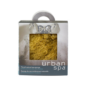 Sea Sponge