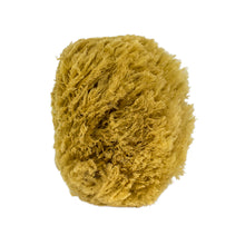 Load image into Gallery viewer, Sea Sponge
