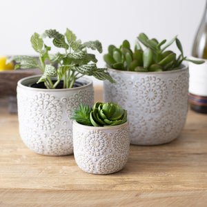 Embossed Pot