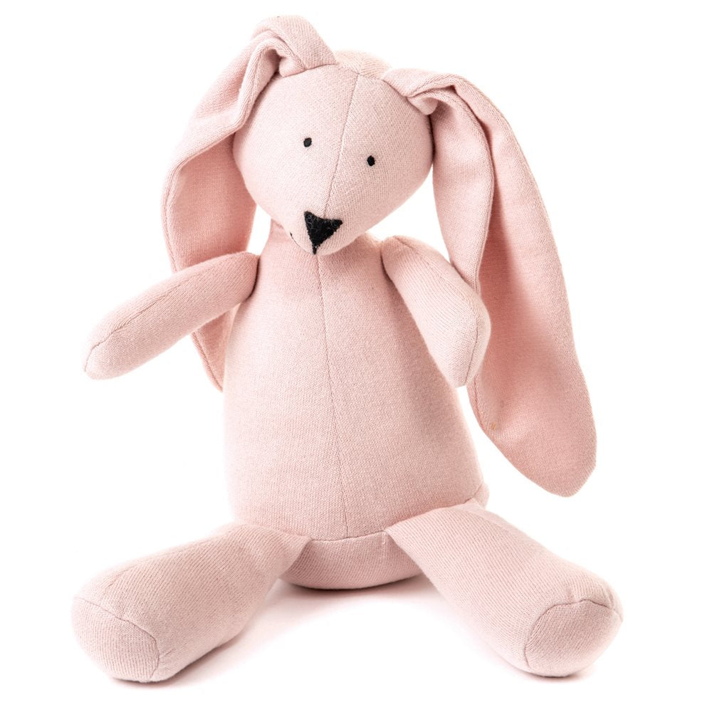 Inesh Bunny