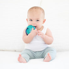 Load image into Gallery viewer, Born to Ride Teething Flash Cards By Bella Tunno
