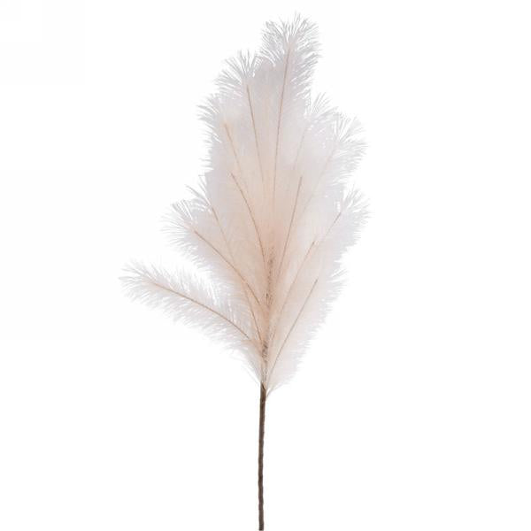 Beige Pampas Grass Stem *Store Pick Up Only*