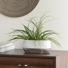 Load image into Gallery viewer, Corsica Ceramic Crackle 2 Tone Oval Pot Short
