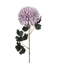 Load image into Gallery viewer, Chrysanethum Stem
