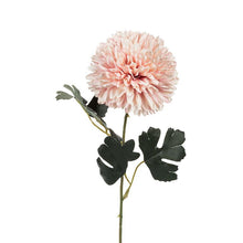 Load image into Gallery viewer, Chrysanethum Stem
