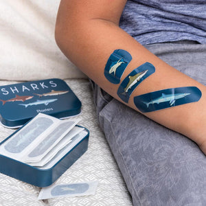 Sharks Plasters In A Tin (pack Of 30 bandaids)