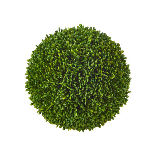 Sedum Ball, Large