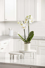 Load image into Gallery viewer, White Beaded Pedestal Tray
