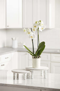 White Beaded Pedestal Tray